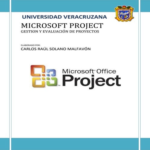 Microsoft project