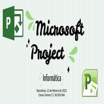 microsoft project | PDF
