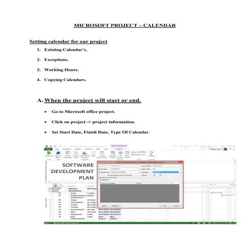 Microsoft project calender