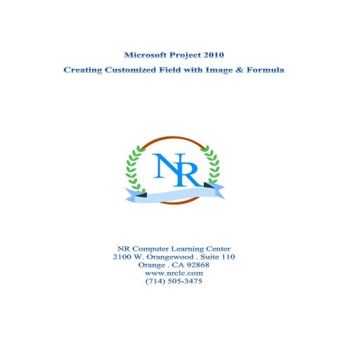 Microsoft project 2010 creating customized field with image & formula