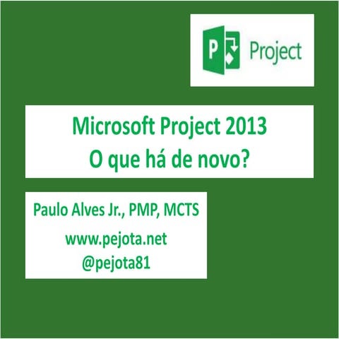 Microsoft project 2013