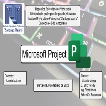 microsoft project | PDF