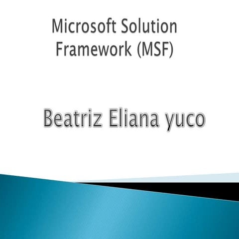 Microsoft solution framework_(msf)_expo