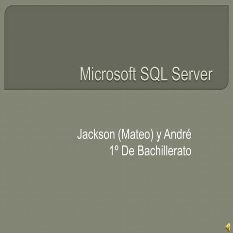 Microsoft sql server Andre y Mateo