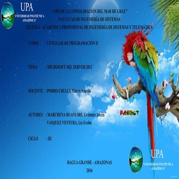 Microsoft sql server 2012