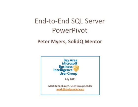 Microsoft SQL Server PowerPivot