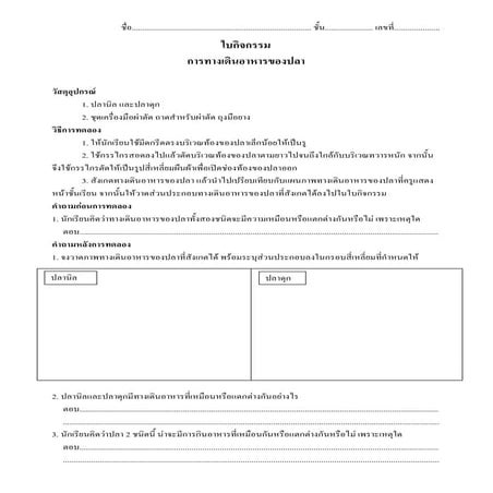 Microsoft word   ใบกิจกรรมทางเดินอาหารของปลา