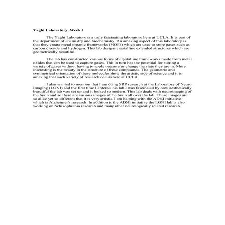 Microsoft word   blogs-rozalin rabieian hrs177