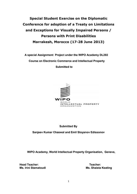Diplomatic Conference for adoption of a Treaty on Limitations and Exceptions ...
