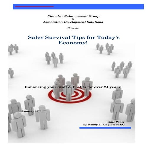 Microsoft Word   Sales Survival Tips 1.1
