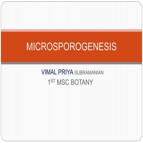 Microsporogenisis