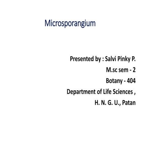 Microsporangium PPT