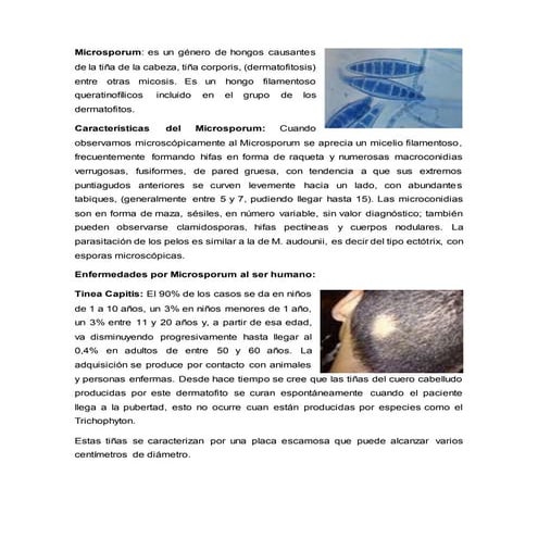 Microsporum 24 | DOCX