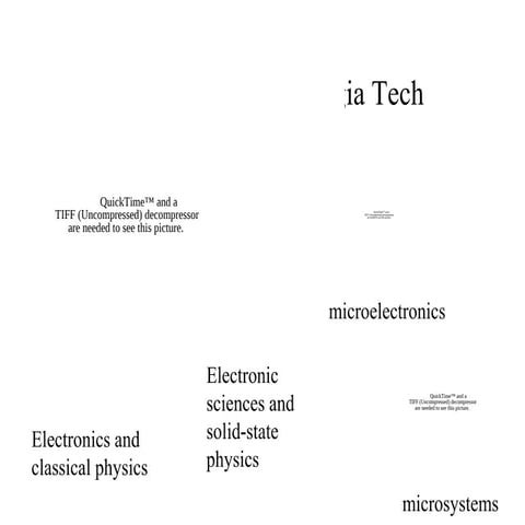 Microsystems Concentration