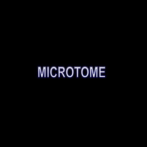 Microtome 