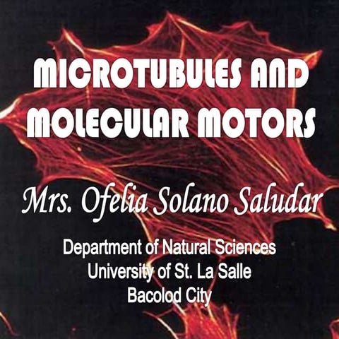 Microtubules and molecular motors