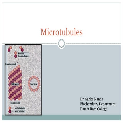 Microtubules