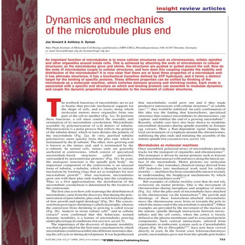 Microtubules Plus End