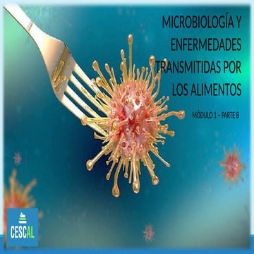 Enfermedades de transmisión alimentaria.