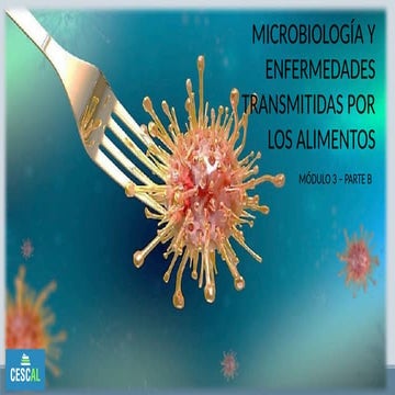 Enfermedades de transmisión alimentaria.