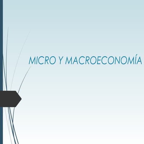 Micro y macroeconomia