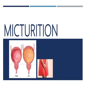 Micturition