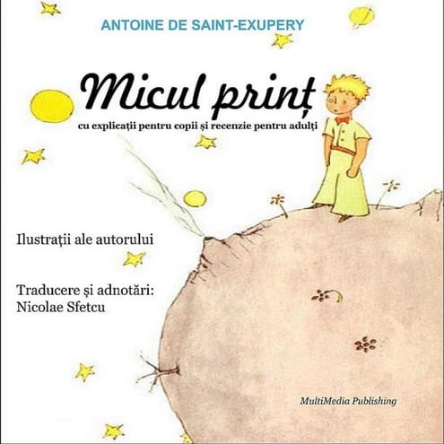 Micul print, fisa de lucru, chestionar.doc