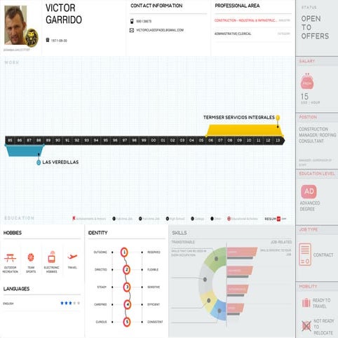 Mi cv en infografia.