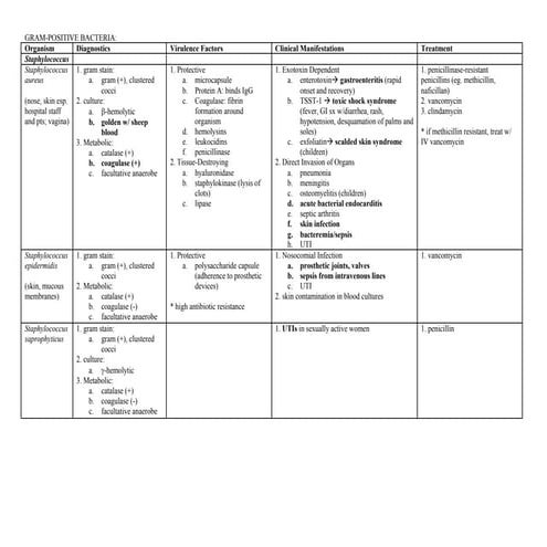 Overview of bacterial infections | PPTX