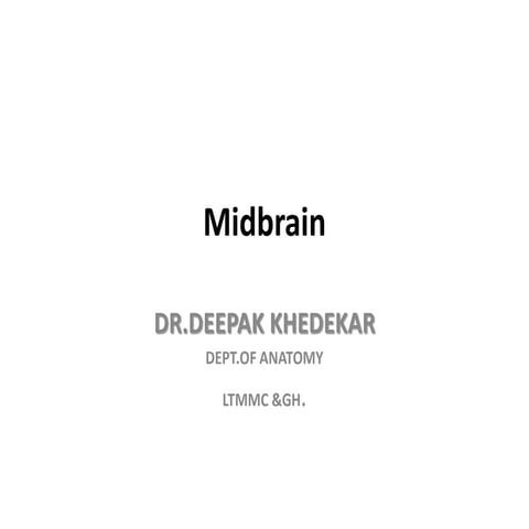 MIDBRAIN.DK.pptx