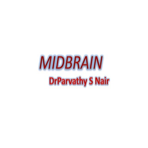 Midbrain-Neuroradiology