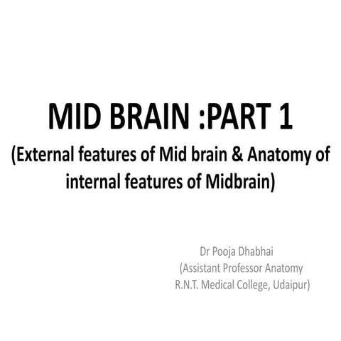 Mid brain part 1
