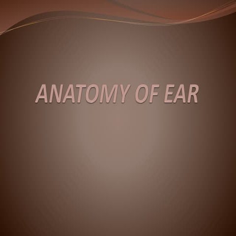 Middle and inner ear 15416