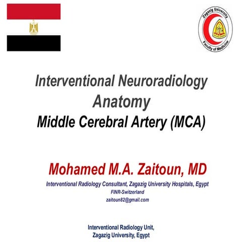 Middle Cerebral Artery (MCA) - Interventional Neuroradiology.pdf