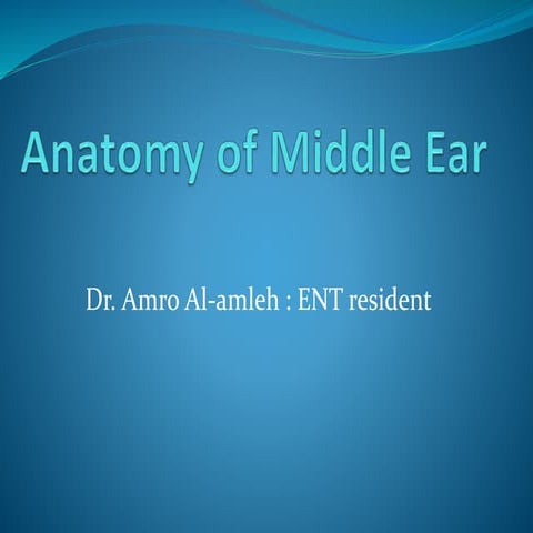 Middle ear anatomy