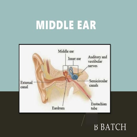Anatomy of the middle ear, Blood supply, Nerve supply | PPTX