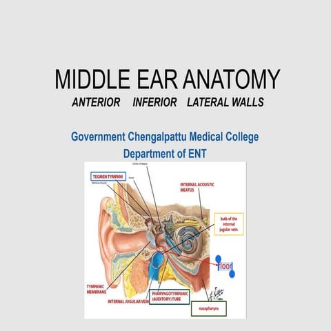 Middle Ear Anatomyof human body ENT.pptx