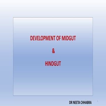 Development of Midgut & Hindgut