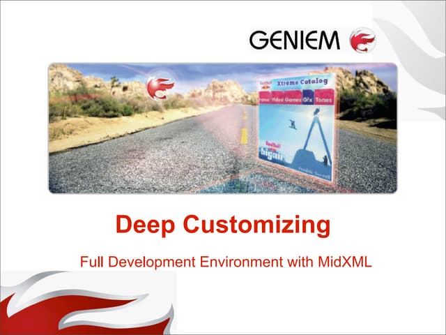 Midlogic customization presentation