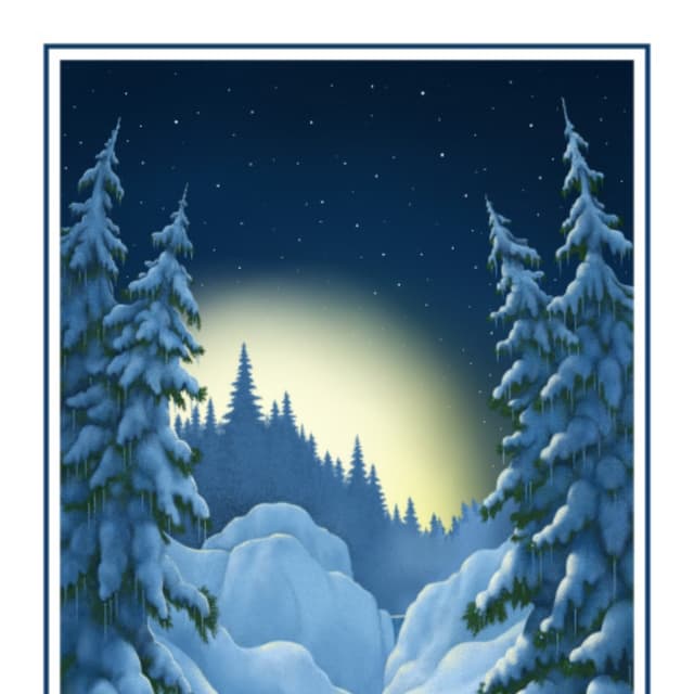 MIDNIGHT SUN | PDF