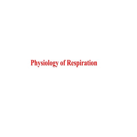 MID Respiratory Physiology.pdf