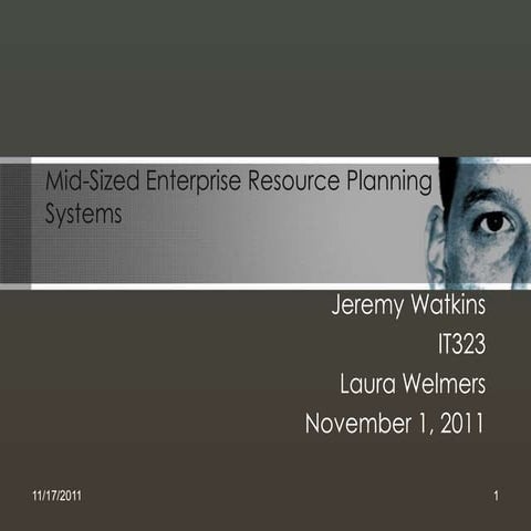 Mid Sized Enterprise Resource Planning Systems