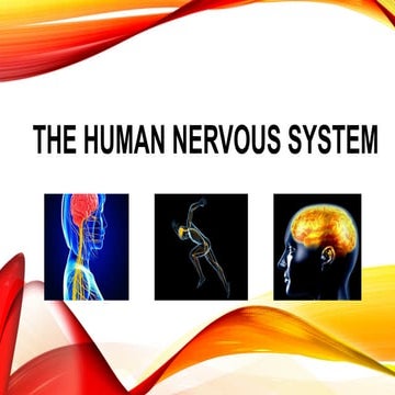 midterm_1st-topic.pptxsaaaaaaaaaaaaaaaaa | PPTX