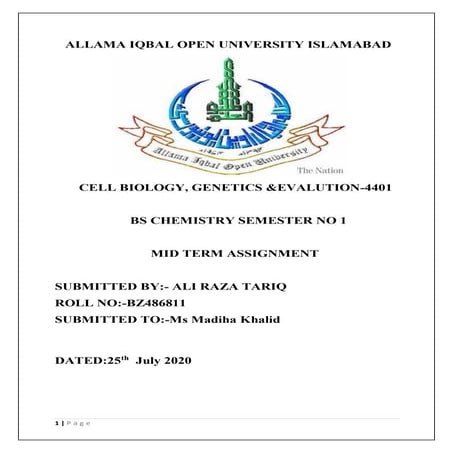 Mid Term Assignment.pdf