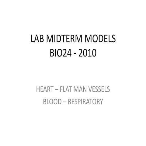 Midterm Lab | PPTX