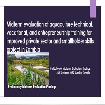 Mid term review findings     read-only