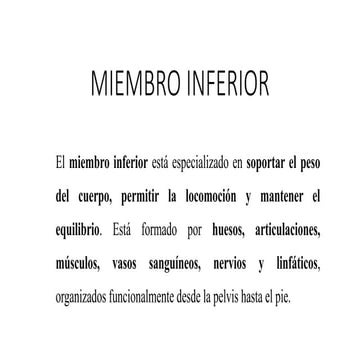 Anatomía de superficie y topografía del miembro inferior.pptx