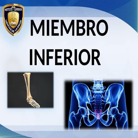 Miembro inferior PPT.pptx sistema oseo del ser humano | PPTX
