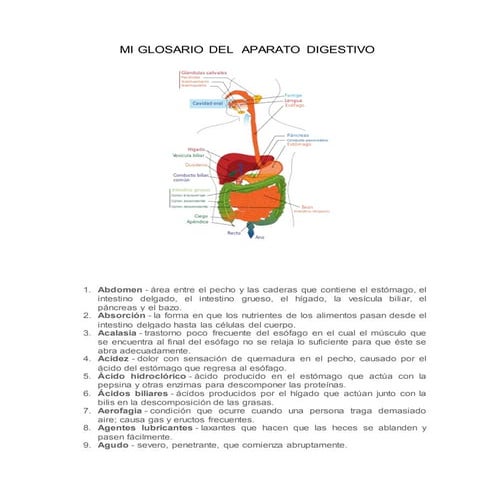 Mi glosario del  aparato digestivo