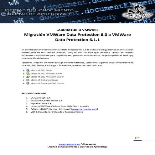 Migración VDP 6.0 a VDP 6.1.1